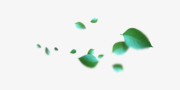 漂浮唯美绿叶免抠