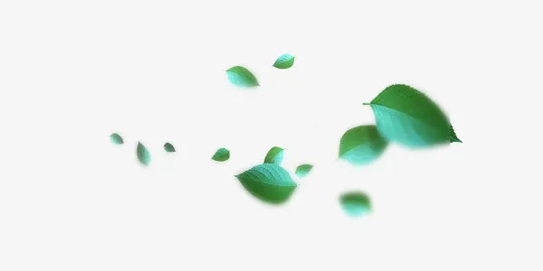漂浮唯美绿叶免抠