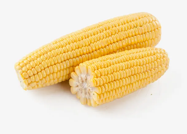 切开的两个玉米免抠