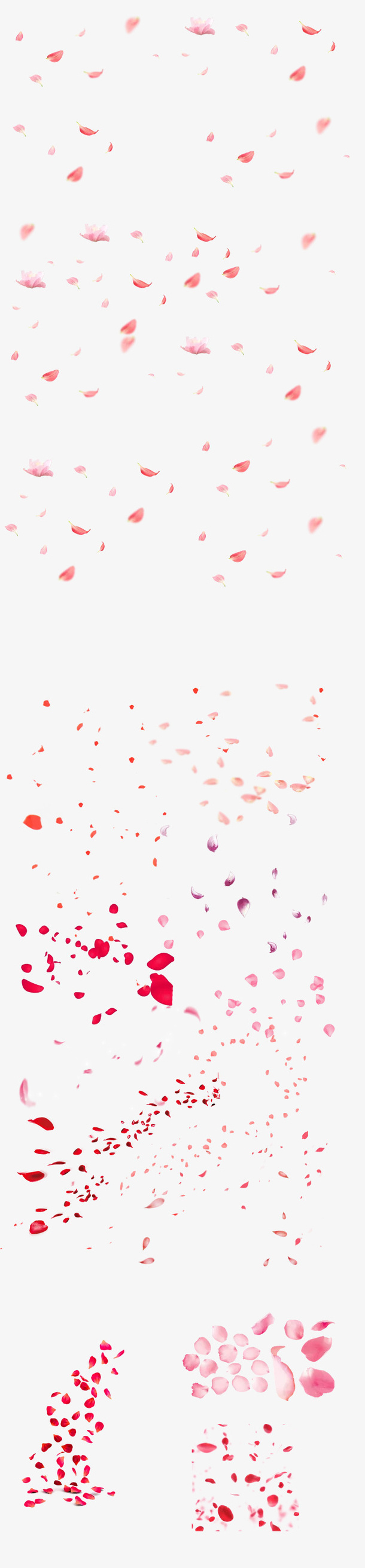 飘落花瓣粉红色玫瑰花瓣免抠漂浮花瓣元素