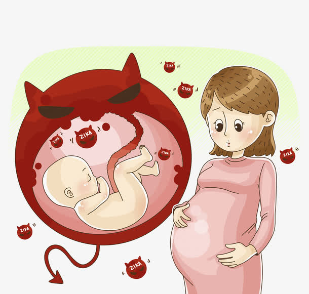 孕妇里面的宝宝免抠