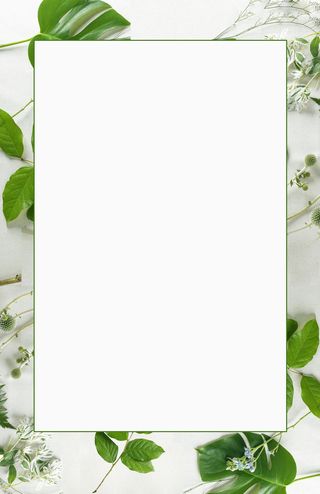 清新绿叶简约边框平面广告高清