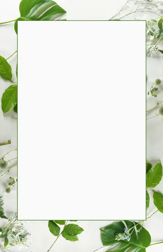 清新绿叶简约边框平面广告高清