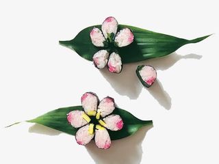 日本樱花饭团寿司PNG免抠