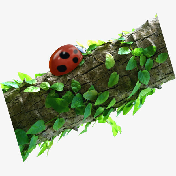 树干免抠