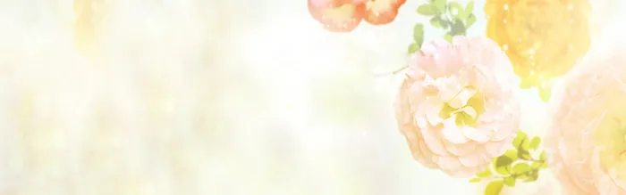 花朵背景海报高清