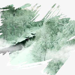 树林效果元素8825桌面壁纸免抠