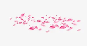 桃花漂浮元素免抠