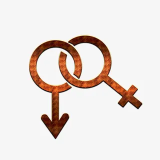 性别符号PNG免抠