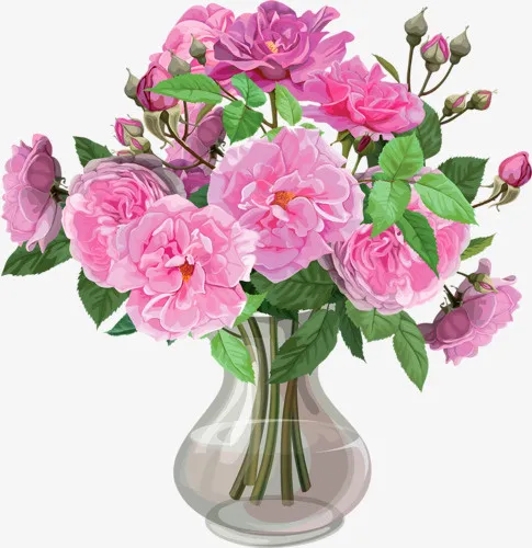 花卉插画植物花草素材免抠