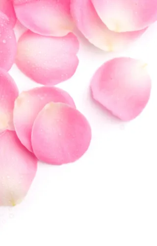 花瓣七夕H5背景高清