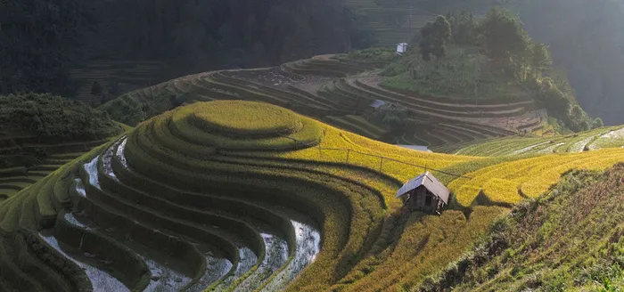 梯田背景图高清