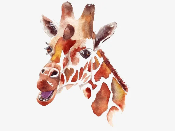 手绘长颈鹿插画免抠