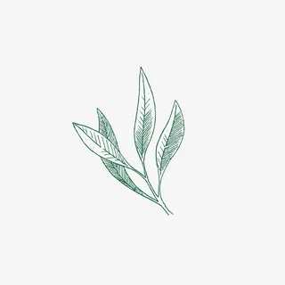 细长创意的美丽手绘免抠手绘/卡通卡通元素