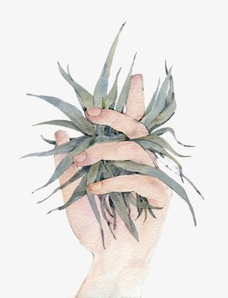 插画纤细的手免抠