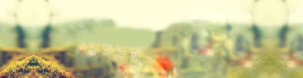 模糊野外草地风景免抠