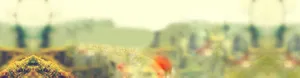 模糊野外草地风景免抠