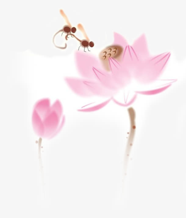 彩色荷花免抠