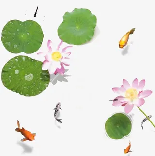 池塘里的风景免抠