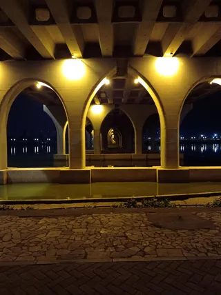 雪枫大桥夜景免抠