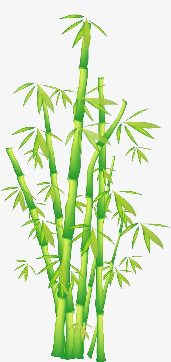 竹子矢量下载免抠