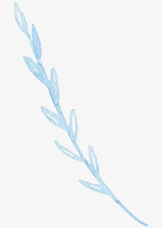 手绘叶子边框免抠