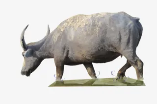 可爱水牛免抠素材免抠