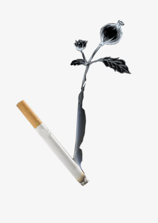 烟头罂粟抽烟有害健康免抠