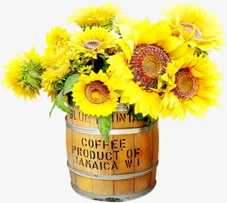 春季黄色郊外小花摆件免抠