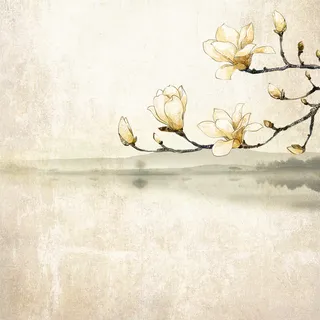 中国风淘宝主图背景高清