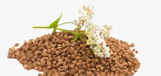 苦荞麦堆上的苦荞麦花朵免抠