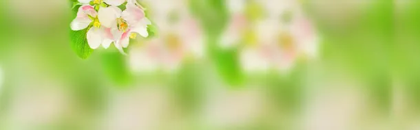 春季淘宝页图片免抠