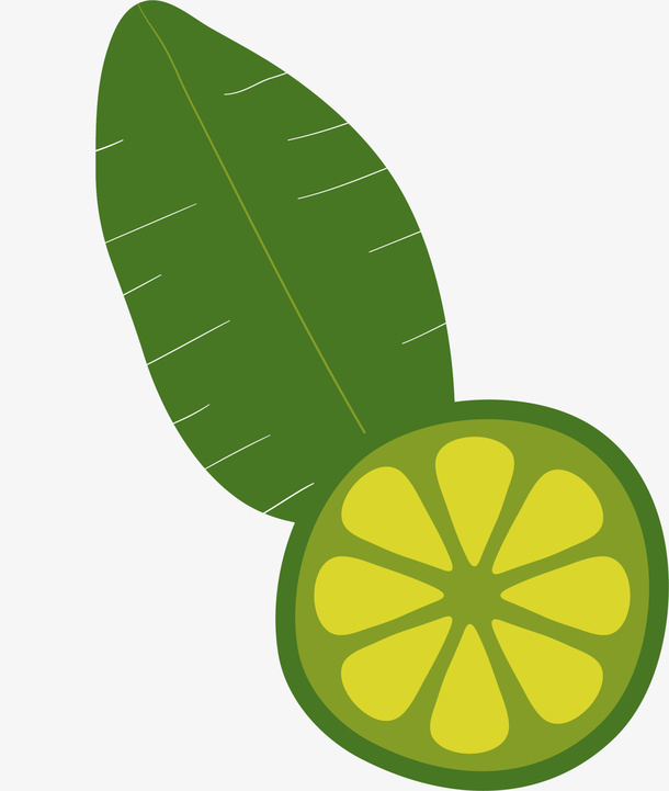 夏季水果绿色金桔免抠