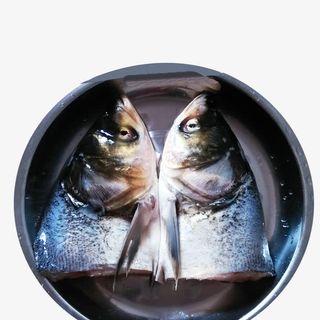 产品实物鱼头花鲢鱼免抠