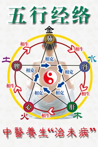 五行经络免抠