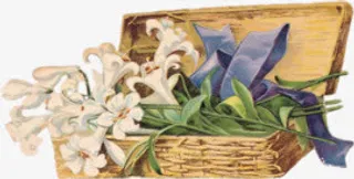 手绘卡通花 木箱子花束免抠