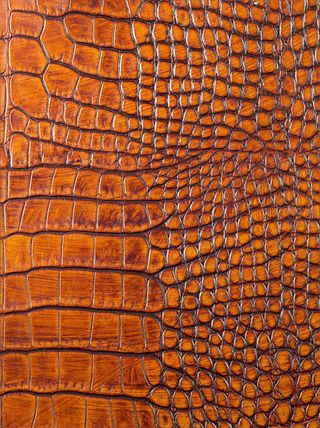 鳄鱼皮纹理免抠背景底纹元素