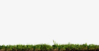 草地 草丛 绿色小草 png素材免抠