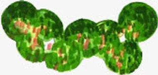 绿色创意植物平面图免抠