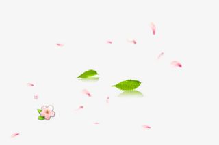 花瓣树叶组合免抠