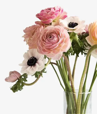 玻璃瓶里盛放的洋牡丹免抠