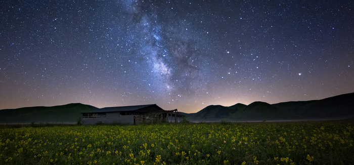 夜晚油菜花田背景图高清