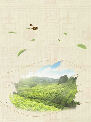 简约云南普洱茶宣传海报设计背景模板高清