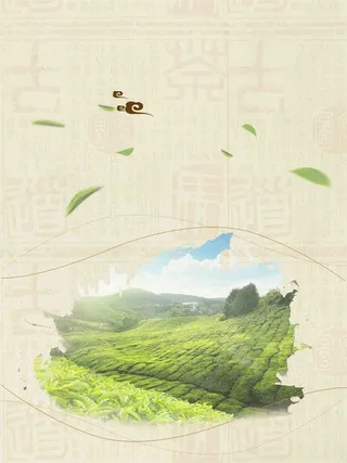 简约云南普洱茶宣传海报设计背景模板高清