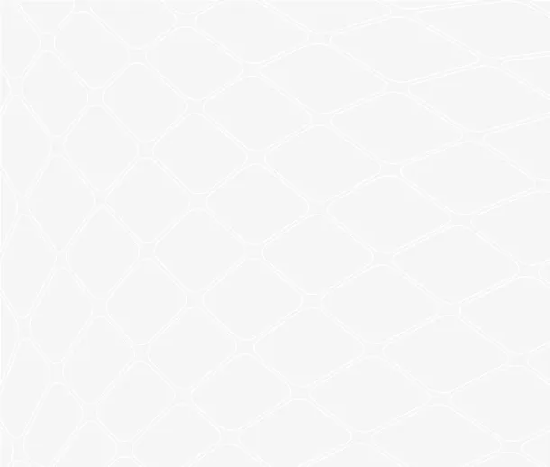 白色简约网格免抠