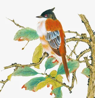 炫彩手绘花鸟画免抠