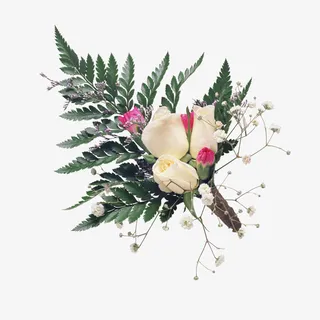 美丽高清玫瑰花免抠