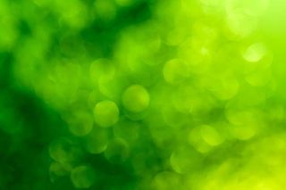 梦幻绿色光斑背景