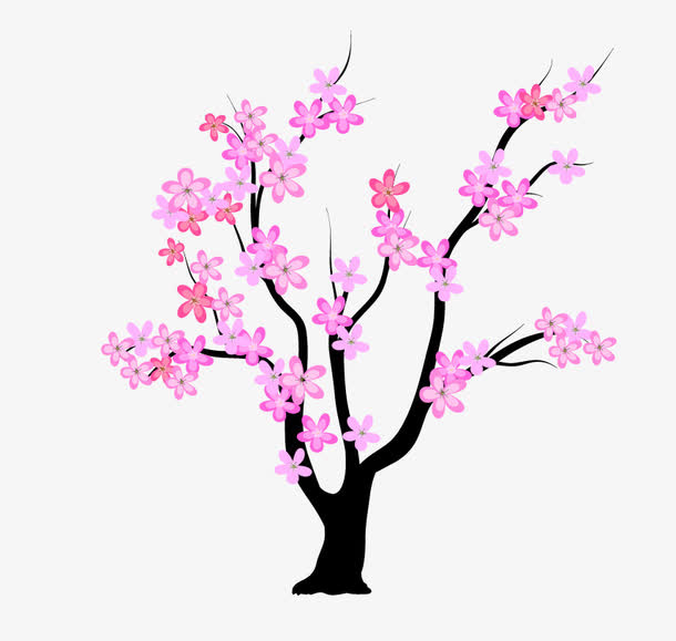 梅花树免抠
