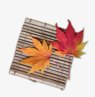 漂浮花瓣气泡简洁大方免抠